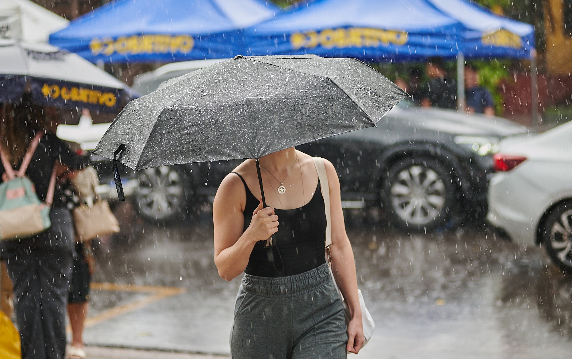 Em 15 dias, Ribeirão Preto, SP, registrou 88% da chuva esperada para setembro