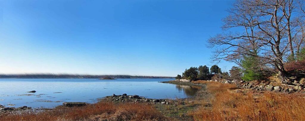 Paisagem panorâmica de lago com árvores e céu azul