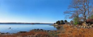 Paisagem panorâmica de lago com árvores e céu azul