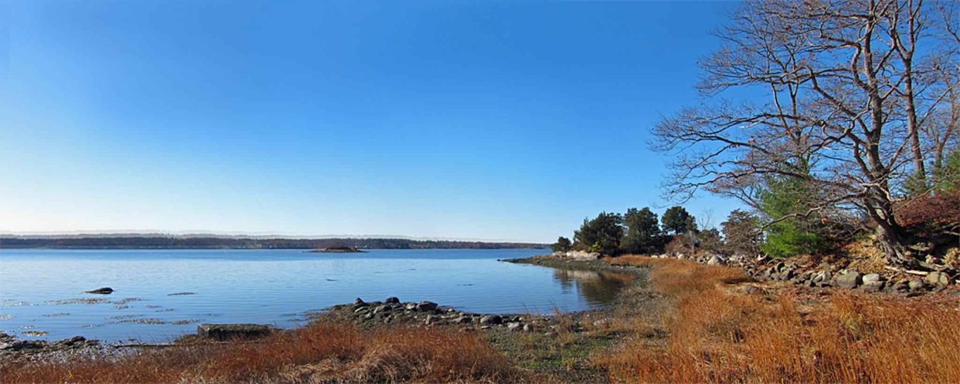 Paisagem panorâmica de lago com árvores e céu azul