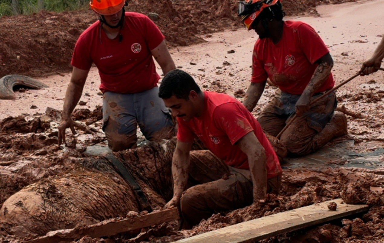 Morre égua resgatada após ficar 24 horas soterrada e coberta de lama; VÍDEO