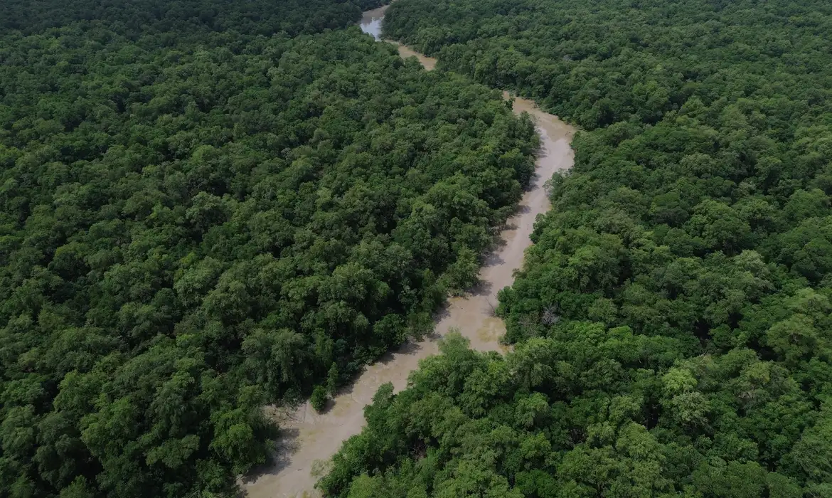 Desmatamento recua na Amazônia e no Cerrado no balanço anual do Inpe